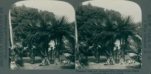 Stereo Foto Hong Kong China, Pandanu Tree and Japanese Girls