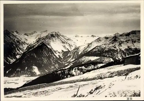 Foto Wald im Pinzgau Salzburg Österreich, Tauern mit Venedigergruppe, Wald