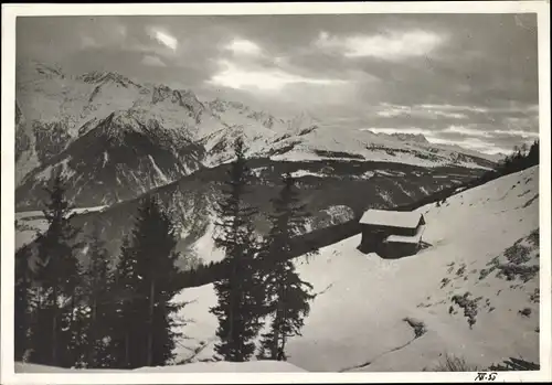 Foto Wald im Pinzgau Salzburg Österreich, Krimml und Plattenkogel