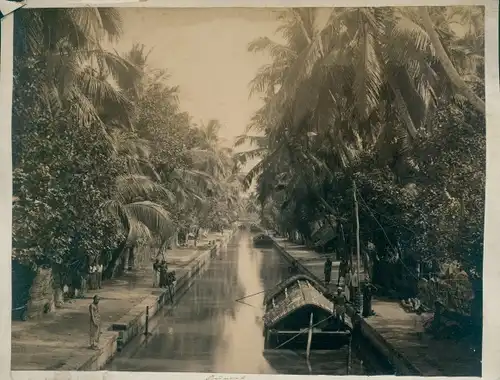 Foto Indien, Kanalpartie, Transportboote, Palmen