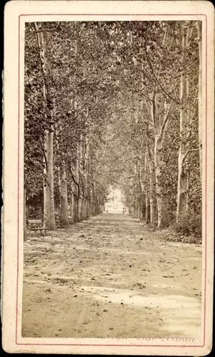 CdV Algerien, Wald Allee um 1880