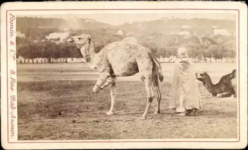 CdV Algier Alger Algerien, um 1880, Rue Bab Axoun, Kameltreiber, Famin & Compagnie