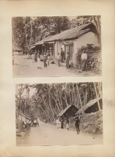 Foto Colombo Ceylon Sri Lanka, Einheimische, Straßenpartie, Palmen, Dorfpartie
