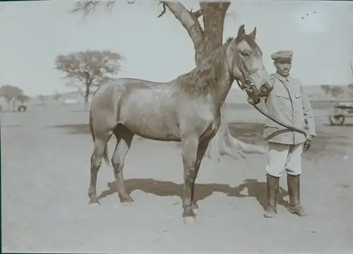 Foto Namibia, DSWA, Mitglied der Kolonialen Schutztruppe mit Pferd