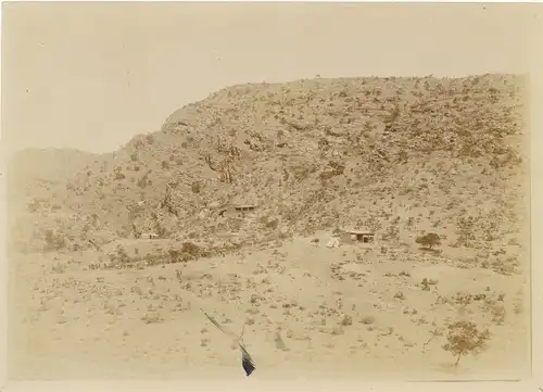 Foto DSW Afrika Namibia, ca 1900 - 1904, Viehherde, Farm