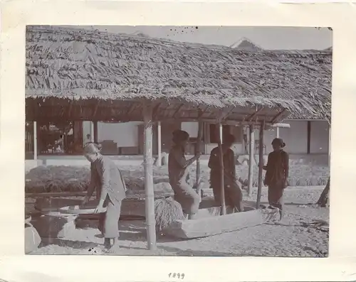 Foto Sri Lanka Ceylon, 1899, Frauen am Korn mahlen