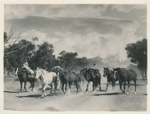 Foto North Queensland Australien, Overlanders on Way to Gulf Country for Cattle