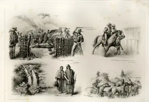 Photogravure Süd Amerika Ohlsen 1894, Condorfang, Wasserfall, Araucanen, Weizendreschen