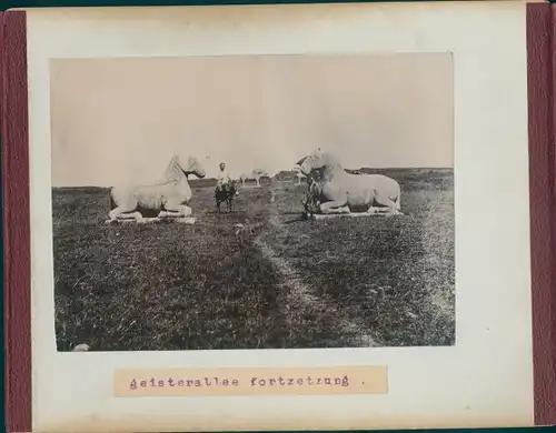 Foto Nanking China, Boxeraufstand, um 1900, Geisterallee, Kaisergräber, Rücks.: Manila, Zeltstadt