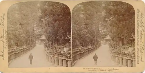 Stereo Foto Nara Präf. Nara Japan, An Avenue of Stone Lanterns