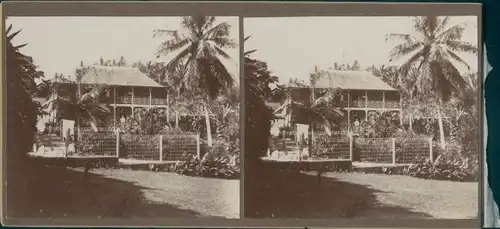 Stereo Foto Jamaika, 1915, Haus mit Garten