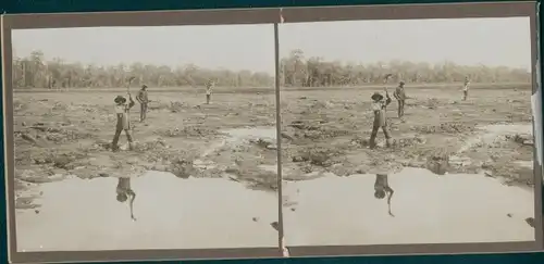Stereo Foto Venezuela, Straßenbau, Afrikanische Hilfsarbeiter, Weltreise 1914