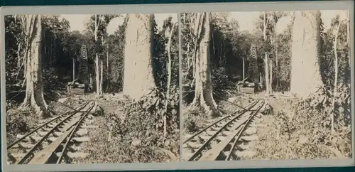 Stereo Foto Französisch-Guayana, Bohrturm, Erdöl, Regenwald, Eisenbahngleise, Weltreise 1914
