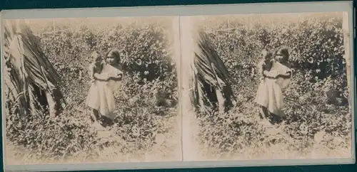Stereo Foto Venezuela, Einheimische Kinder, Indios, Indianer, Weltreise 1914