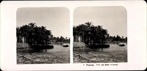 Stereo Foto Al-Fayyūm Fayum Ägypten, Ufer des Bahr Youssef