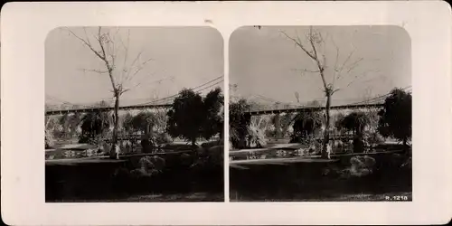 Stereo Foto Kairo Cairo Ägypten, Zoologischer Garten, Hängebrücke