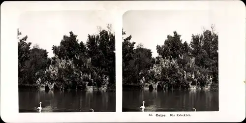 Stereo Foto Kairo Cairo Ägypten, Esbekieh