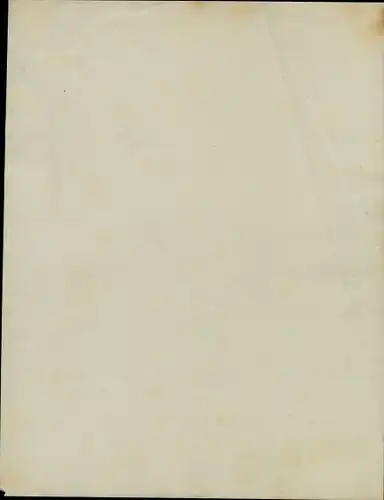 Chromotypie Hyères Var, Vue generale prise du Jardin d'Acclimatation