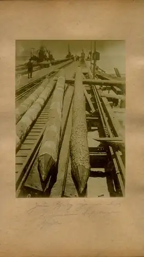Foto um 1906, Namibia Deutsch Südwestafrika, Bau einer Landungsbrücke, Holzpfähle