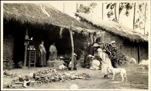 Foto Ecuador, Indios, Holzträgerin, Hund, Hütte, um 1920