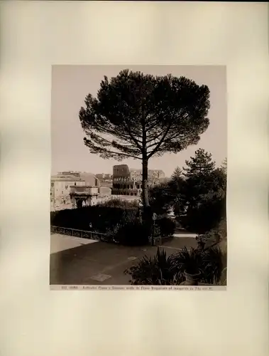 Foto um 1880, Roma Rom Lazio, Kolloseum, Konstantinsbogen