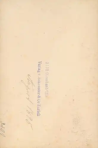 Foto Brienz Kanton Bern, Giessbachfall, Giessbachfälle, August 1895