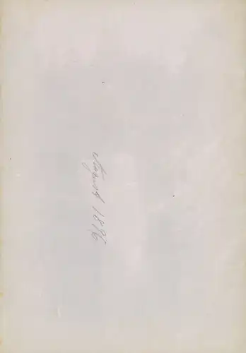 Foto Handeck Guttannen Kanton Bern, Handeckfall, August 1896