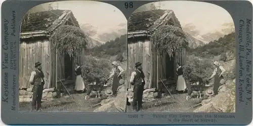 Stereo Foto Norwegen, Taking Hay Down from the Mountains