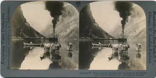 Stereo Foto Norwegen, Gudvanges Outlook over the Naerofjord