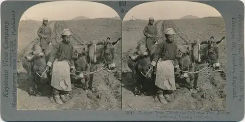 Stereo Foto Lüshunkou Port Arthur Dalian China, Chinesische Bauern, Esel