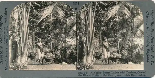 Stereo Foto Java Indonesien, Native Porter Laden with Durians