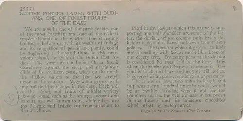 Stereo Foto Java Indonesien, Native Porter Laden with Durians