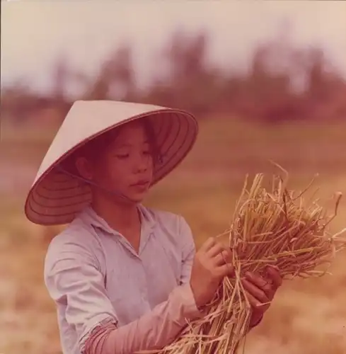 Foto Hans Joachim Spremberg, Vietnam, In der LPG Bindah bei Hanoi, Reisernte, 1975