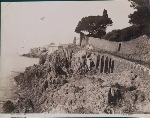 Foto Nervi Genova Genua Liguria, Seno col Pino