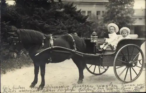 Ak Erbprinz Ernst August und Prinz Georg Wilhelm zu Braunschweig und Lüneburg, Kutsche