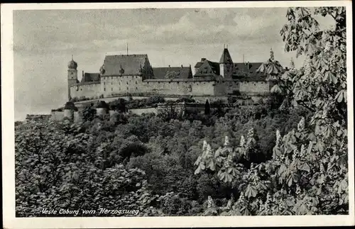 Ak Coburg in Oberfranken, Veste Coburg vom Herzogsweg, Festung