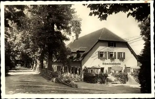 Ak Insel Mainau im Bodensee, Wegpartie an der Schwedenschenke