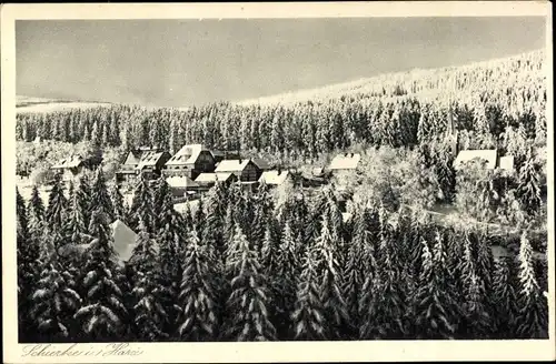 Ak Schierke Wernigerode am Harz, Teilansicht vom Ort im Winter