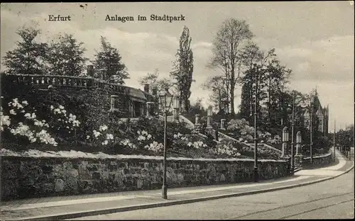Ak Erfurt in Thüringen, Anlagen im Stadtpark