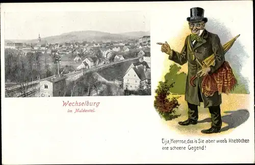Ak Wechselburg in Sachsen, Gesamtansicht, Gentelman