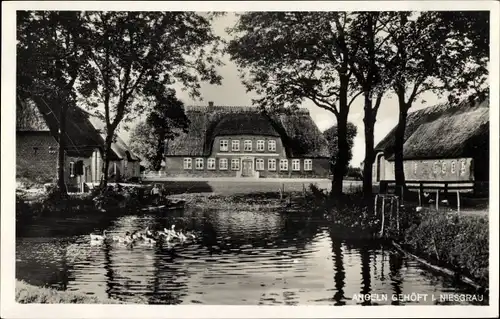 Ak Niesgrau in Schleswig Holstein, Angeln Gehöft