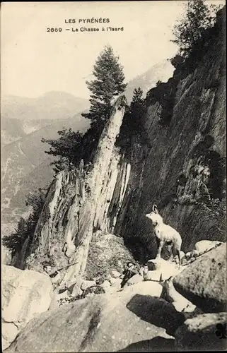 Ak Les Pyrénées, La Chasse, vue générale d'un Isard