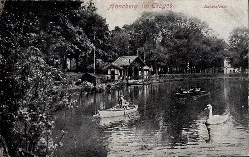 Ak Annaberg Buchholz im Erzgebirge, Schutzteich mit Schwan und Ruderbooten