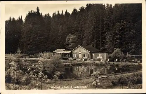 Ak Braunlage im Oberharz, Waldwirtschaft Forellenteich