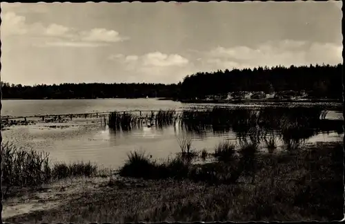 Ak Weißwasser in der Oberlausitz, Braunsteich