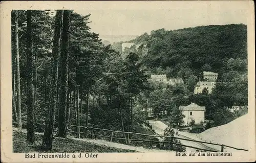 Ak Bad Freienwalde an der Oder, Blick ins Brunnental