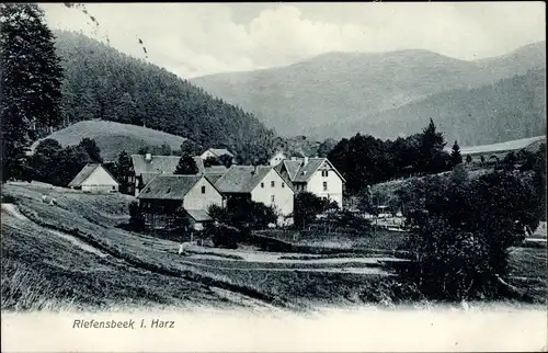 Ak Riefensbeek Osterode Harz, Teilansicht