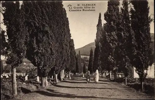 Ak Tlemcen Algerien, Große Allee zum Musulman Friedhof