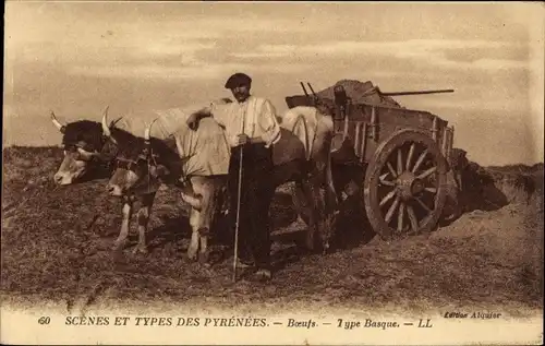 Ak Scenes et Types des Pyrenees, Boeufs, Type Basque, Bauer, Rind, Fuhrwerk