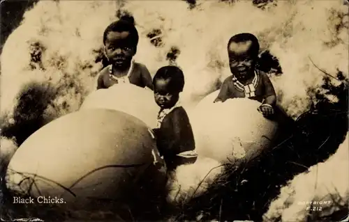 Ak Afrika, Black Chicks, Kinder schlüpfen aus, Eier